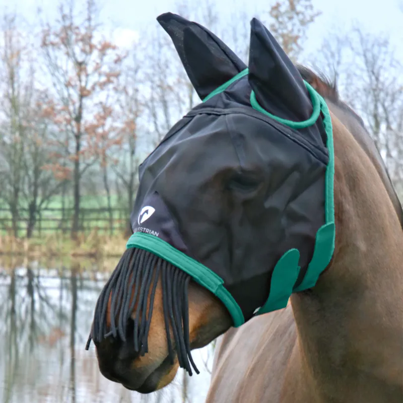 Hy Equestrian Mesh Half Mask With Ears and Fringe - Black/Teal